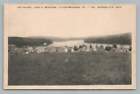 Lake O' Meadows Little Meadows Pennsylvania Susquehanna County Postcard 1940S