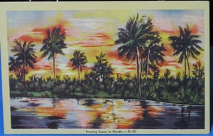 Vintage - Florida - scena serale - non spedita - Foto 1 di 2