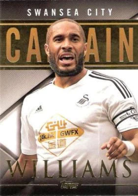 2014 Topps Premier League Gold 'Captains' Base Insert Cards (20 Different) - Image 1 of 4