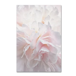 Trademark Fine Art ' Pink Peony Petals IV ' Canvas Art by Cora Niele 22x32 - Picture 1 of 6