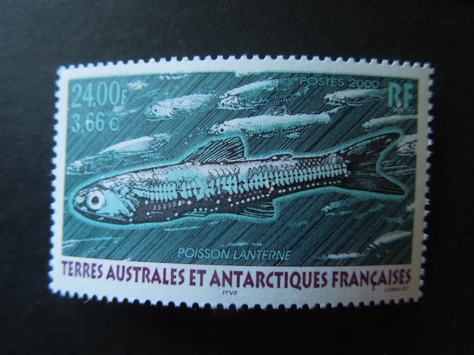 G4063   TAAF  2000   FISH       MNH - Image 1 of 1