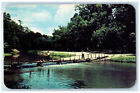 c1960's Fishing at Pine Creek White Pines Forest State Park Illinois IL Postcard