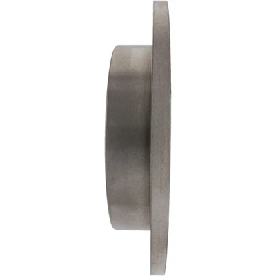 Rotor de freio a disco Centric Parts 121.43004 para 87-95 Isuzu Amigo Pickup Trooper - Imagem 1 de 4