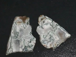 Tree  Agate --2 small pieces  rough, cabbing--display Geology - Picture 1 of 3