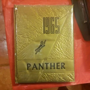 1965 KYLE High School Yearbook KYLE Texas PANTHER  - Picture 1 of 1
