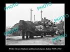 OLD POSTCARD SIZE PHOTO OF WIRTHS CIRCUS ELEPHANT PULLING THE WAGON c1932