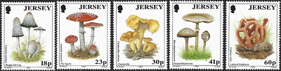 1994 Jersey Sg 644/648 Fungi (1st series) MNH - Image 1 of 2