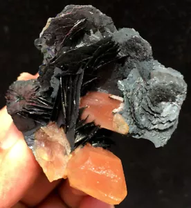 61g Cristallo Rosso Scheletrico Naturale Fantastico + Simbiosi Fiore Specularite ic5400 - Foto 1 di 12