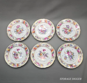 Juego De Colección De 6 Platos Redondos De Porcelana Diseño Floral Dresden 9.5", Borde Dorado - Imagen 1 de 12