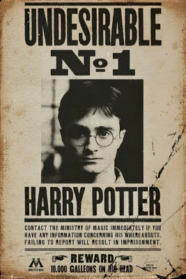 MOVIE POSTERS USA Harry Potter - Movie Poster / Print (Wanted: Undesirable No. 1) (Size: 24 X 36")