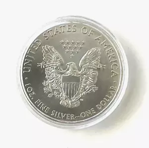 2009 Walking Liberty US Eagle One Dollar 1 Oz .999 Silver Coin Uncirculated - Picture 1 of 2