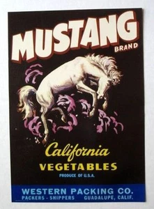 Etichetta cassa verdure cavallo Mustang anni 20 - Foto 1 di 1