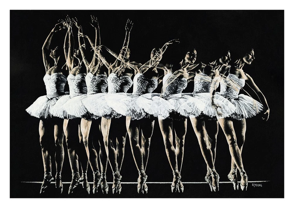 Dance Emotion - Impressão giclée Fine Art assinada. Movimento Ballerina Tutu Swan Lake - Imagem 1 de 1