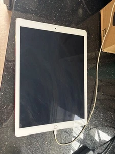 Apple iPad Pro 2nd Gen. 256GB, Wi-Fi, 12.9 in - GOLD - with pen. Read descript - Picture 1 of 4