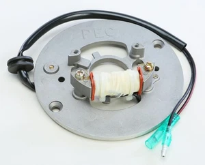 Ricks Electric Stator For YAMAHA PW 80 1995-2003 - Picture 1 of 1