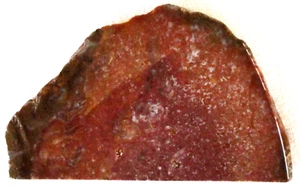 Red Jasper Slab - White Quartz - 230 Grams - Arizona - Picture 1 of 2