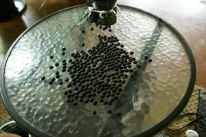 Canna Lily Seeds (100) - Picture 1 of 1
