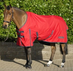 WHITAKER RASTRICK 100G STANDARD NECK TURNOUT 4'9" - 7'0" - Picture 1 of 1
