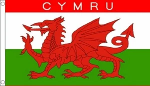 Cymru Large Flag (8ft x 5ft) - Picture 1 of 1