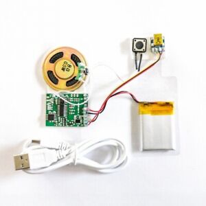 Soundmodul mit Magnet-/Lichtsensor o. Taster und USB, Soundrecorder, Voicemodul