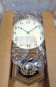 Vtg ROBERTSHAW Lux Time Division Electric Decorator Pendulum Wall Clock 5153-07 - Picture 1 of 9