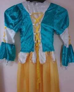 Girls dress up costume medieval/renaissance style aged 7-8 two piece dress/tunic - Picture 1 of 5