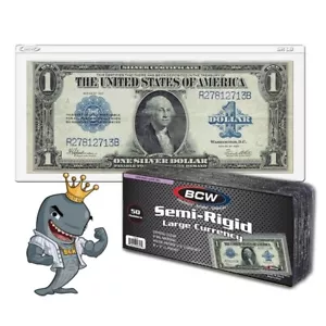 Portamonedas BCW semirrígido - Billete grande 50ct ENVÍO GRATUITO - Imagen 1 de 1