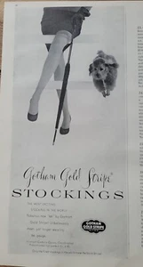1952 Damen Gotham Gold Streifen Strumpfwaren Strümpfe Pudel Hund Vintage Werbung - Bild 1 von 1