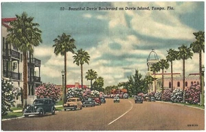 Old Postcard - Beautiful Davis Blvd. on Davis Island Tampa FL - Picture 1 of 1