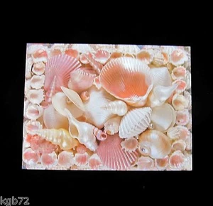 Leanin Tree Seashell Sea Shell Thank You Greeting Card Multi Color R310 - Picture 1 of 2