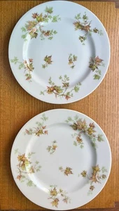 VTG Autumn Leaf Theodore Haviland France Limoges Salad Plates Set 2 8 3/4" - Picture 1 of 8