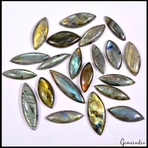 21 Pcs Natural Labradorite Multi Flash Marquise Cabochon Loose Gemstones~600 Cts - Picture 1 of 6