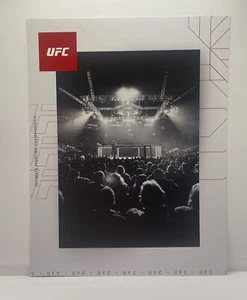 UFC Octagon Promo Photo 8.5x11 - Picture 1 of 1