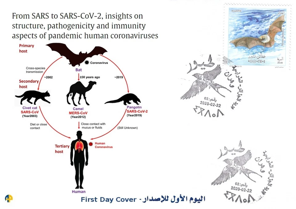 FDC mammals bat bats SARS SARS-CoV-2 corona coronaviruses pandemic - Image 1 of 1