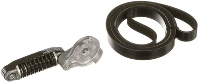 Kit Cinghie Poly-V GATES K016PK803EST SMART FORTWO Coupé (451) - Immagine 1 di 3