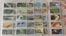 Collectable Brooke Bond Natural Neighbours Full Set of 40 Trade Tea Cards 1992