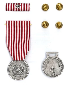 Medaille und/oder Silberband für Dienstverdienst Staatspolizei + Clip - Bild 1 von 1