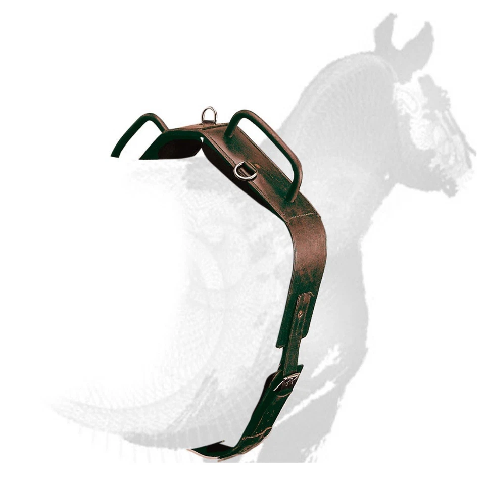 Zaldi Astecus Brown Leather Vaulting Surcingle Size Full Made In Spain - Image 1 of 1