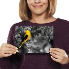 Art Print Poster Golden Oriole Yellow Black Bird #51050