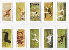 Hornimans Tea  Dogs complete set of 48 cards in VG condition