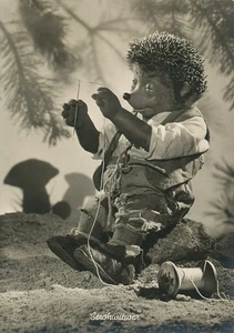 Mecki 6: Strohwitwer ngl 110.666 - Bild 1 von 1