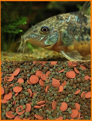 AQUATICBLENDEDFOODS CATFISH FOOD MIX,with Soft Bits & Bug Wafers,Garlic,Spirulina,Cory Cats,ABF368