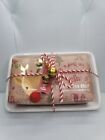 NEW Pink Sky Cinnamon Spice Scented Christmas Bar Soap & Soap Dish Holiday Set