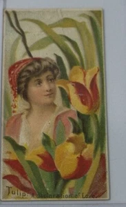 Antike Tabakkarte N75 Herzöge Blumen Schönheiten Tulpe 1892 - Bild 1 von 3