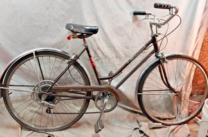1972 Schwinn Collegiate Cruiser Bike 19.5" Large 5 Speed Steel USA Made StepThru - Picture 1 of 19