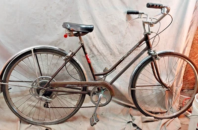 1972 Schwinn Collegiate Cruiser Bike 19.5" Large 5 Speed Steel USA Made StepThru - Image 1 of 4
