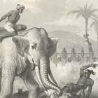 Sri Lanka Supplice Des Criminels Eléphant  - Gravure Originale Xixe