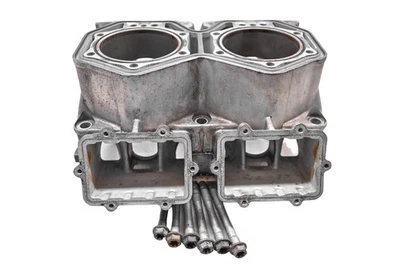 13 Ski-Doo Renegade X 800R Cylinders 137" - Image 1 of 4