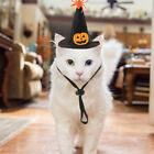  Halloween Cat Costume Collar Witch Hat Transformation Outfit The