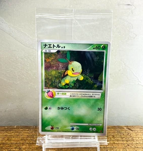 Sealed Turtwig 001/PPP Chimchar Piplup Fan Club 2000 Japanese Pokemon card - Picture 1 of 12